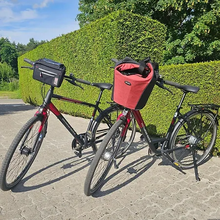 Fewotraum Müritz Möwe 1 *